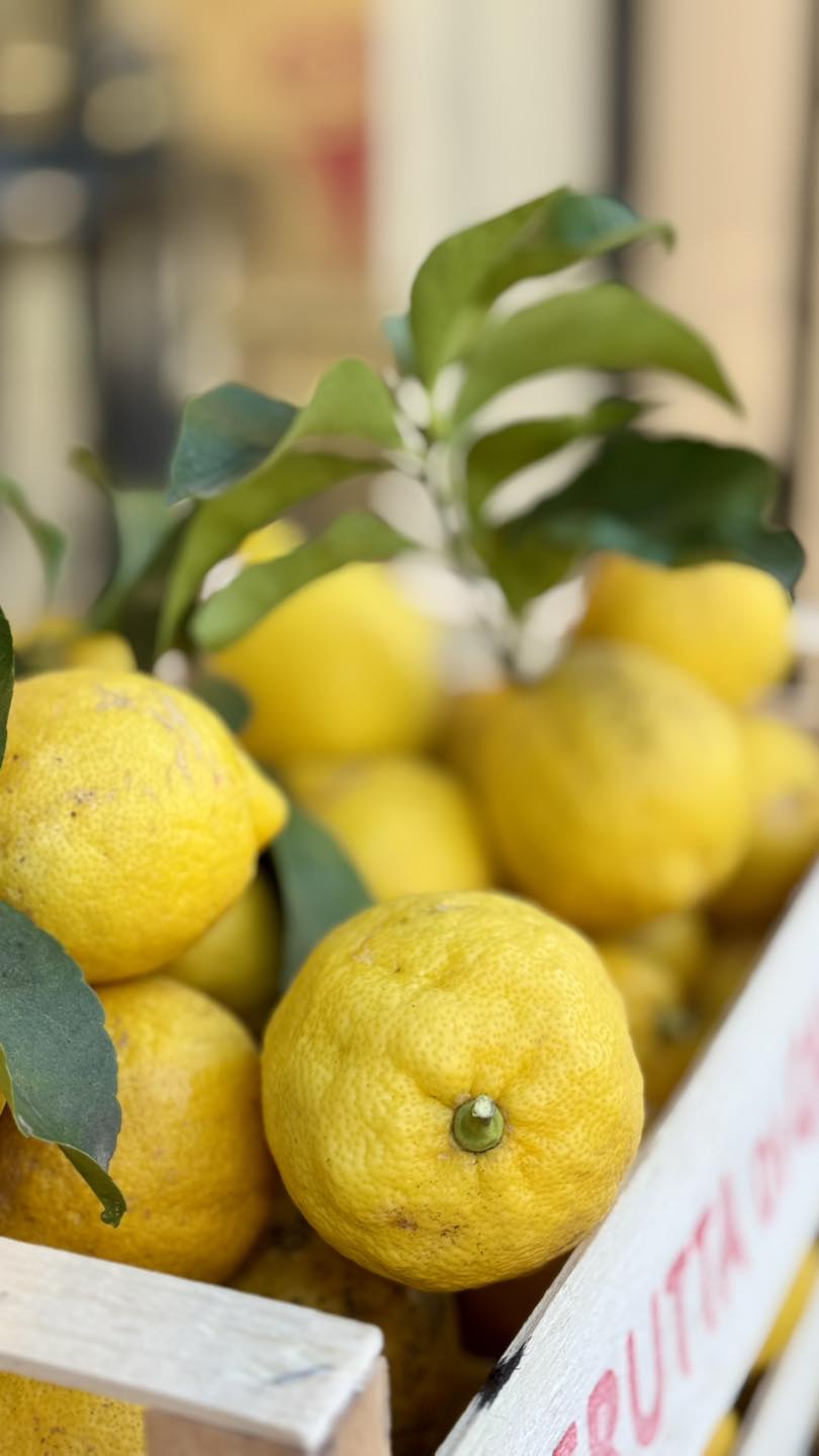 Gelato artigianale 7